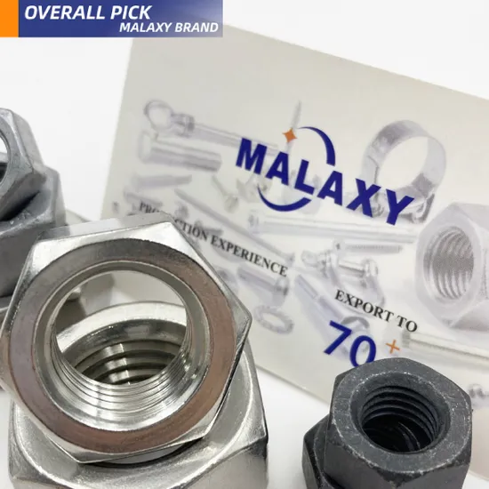 Malaxy Bolt Nut Stainless Steel Carbon Steel M6 M10 M12 Spring Bolt Nut for Versatile Applications